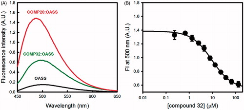 Figure 4. Use of compound 20 in a competitive binding assay for the determination of the dissociation constant of compound 32. Panel A: fluorescence emission spectra of OASS-A upon excitation at 412 nm in the absence of ligands and in the presence of either the low affinity ligand compound 20 or the high-affinity ligand compound 32. Panel B: displacement titration of OASS-A:compound 20 (960 μM) complex with compound 32. The concentration of OASS used is 0.5 μM. The solid line represents the fit with a binding isotherm with an apparent dissociation constant of 9.4 ± 0.7 μM.