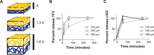 Figure 8 Effect of levonorgestrel (LNG) and tenofovir (TFV) release from stacked composites of different thickness. (A) Schematic of stacked composite fibers with increasing thicknesses, and in vitro release profiles of (B) TFV and (C) LNG from stacked composite fibers of varying thickness.