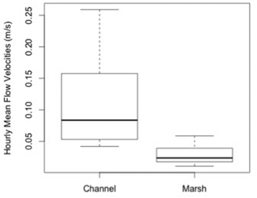 Figure 3. Hourly mean flow velocity measurements in the channel and in Brookhurst and Magnolia marshes (combined). The black lines within the boxes represent the medians, the box dimensions the second and third quartiles, and the whiskers the first and fourth quartiles.