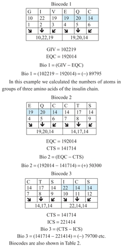 Figure 5 Examples of the connection of numbers of atoms in group of three amino acids of the insulin chain.