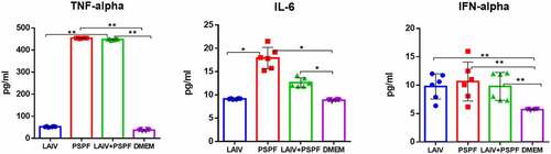 Figure 4. Early cytokine production in THP-1 cell culture, ELISA. * - P < .05, ** - P < .01. Cells were inoculated with 106 EID50/ml of A/17/New York (H1n1)pdm09 LAIV virus, the PSPF polypeptide (20 µg per ml) or the mixed LAIV+PSPF. Data from three independent experiments made in duplicates are presented.