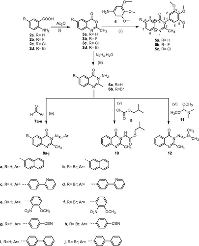 Scheme 1. (i) Heating in domestic microwave at 540 watt for 8 min, cooling, and washing with petroleum ether; (ii) Fusion in oil bath at 200 °C, for 2 h, cooling to 100 °C, treatment with 37% HCl (Conc) till dissolution of the reaction mixture; cooling to room temperature and alkalisation with dilute NaOH (25%); (iii) ethanol, reflux for 8 h; (iv) ethanol and acetic acid catalytic, reflux for 10 h; (v) reflux for 10 h; (vi) ethanol, reflux for 2 h.