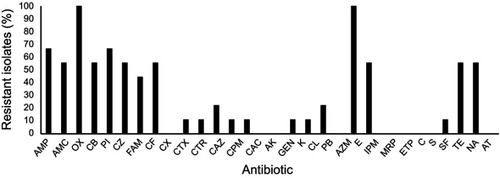 Figure 1 Antibiogram of Salmonella Typhimurium isolates from environmental sources of poultry wet markets. The concentrations of antibiotics used as per clinical and laboratory standards institution (CLSI) standards.Abbreviations: AMP, ampicillin; AMC, amoxyclav; OX, oxacillin; CB, carbenicillin; PI, piperacillin; CZ, cefazolin; FAM, cefamandole; CF, cefaclor; CX, cefoxitin; CTX, cefotaxime; CTR, ceftriaxone; CAZ, ceftazidime; CPM, cefepime; CAC, ceftazidime/clavulanic acid; AK, Amikacin; GEN, gentamycin; K, kanamycin; CL, colistin; PB, polymyxin B; AZM, azithromycin; E, erythromycin; IPM, imipenem; MRP, meropenem; ETP, ertapenem; C, chloramphenicol; S, streptomycin; SF, sulfisoxazole; TE, tetracycline; NA, nalidixic acid and AT, aztreonam.