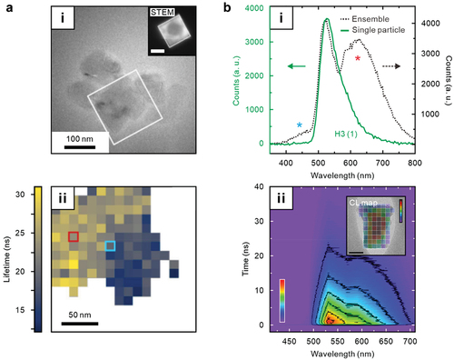 Figure 8. Time-resolved CL spectroscopy and imaging. a. time-resolved CL in scanning TEM. (i) Bright-field TEM image of the nanodiamond cluster. White box in the figure represents the scanned area in the CL measurements. (ii) lifetime map extracted by a fit of the decay trace of CL. b. Time-resolved CL in UEM (i) CL spectra of the nanodiamond obtained from the ensemble (dotted line) and a single particle (solid line). (ii) time-resolved CL spectra of a nanodiamond particle. Inset: CL intensity map of a single particle. Scale bar: 100 nm. Part a adapted with permission from [Citation210], American Institute of Physics Publishing. Part b adapted with permission from [Citation62]. Copyright 2021 American Chemical Society.