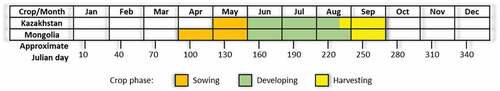 Figure 2. The cropping calendar of spring wheat in Kazakhstan and Mongolia. Source: Authors’ presentation based on data adapted from the FAO (Citation2021, Citation2020) and Shamanin et al. (Citation2016).