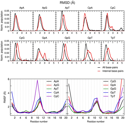 Figure 6. Top: normalized histogram of the RMSD values using the first frame as reference over the three aggregated independent copies for each system. Black line includes all residues; red line is RMSD without the terminal base-pairs at each end of the DNA. Bottom: RMSF by residue of each system using the full aggregated trajectory.