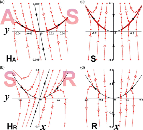 Figure 1. Phase space showing semistability (from the left) in accordance with the Examples 1–4. (a) Example 1: λ1=1 (W c), λ2=1/2<1 (W s). The left-hand side of the phase space imitates an Attractor (A) and the right-hand side a saddle point (S). The semistable point is indicated by H A . (b) Example 2: λ1=1 (W c), λ2=2>1 (W u). The left-hand side of the phase space imitates a saddle point (S) and the right-hand side a Repeller (R). The semistable point is indicated by H R . (c) Example 3 (without semistability): λ1=1 (W u), λ2=1/2<1 (W s). The fixed point is a saddle point (S). (d) Example 4 (without semistability): λ1=1 (W u), λ2=2>1 (W u). The fixed point is a Repeller (R).