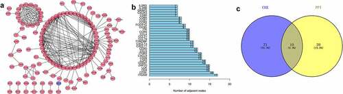 Figure 3. Protein-protein interaction network and univariate COX regression analysis. (a) PPI network showing the nodes with an interactive confidence score > 0.95. (b) The list of top 30 DEGs ordered by the number of nodes. (c) Venn plot showing the common gene obtained from the PPI network and univariate Cox analysis