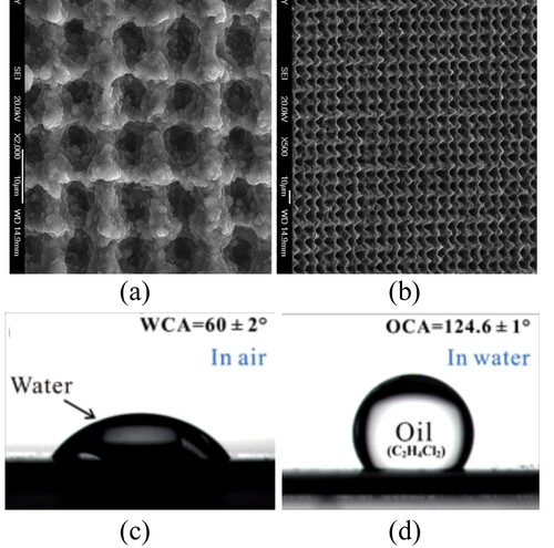 Figure 4. Nanodimensional textures for fish-scale-like properties. (a) Top view SEM image (b) Tilted view SEM image (c) Hydrophilicity in air (d) Hydrophobicity in water. Images adapted from [Citation12]