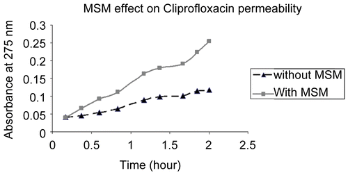 Figure 2.  Methylenesulfonylmethane (MSM) increased the rate of transport of ciprofloxacin 0. 5 mg/ml better than ciprofloxacin alone across a porcine intestinal membrane as measured with a spectrometer set at 275 nm over a 2-h time period.