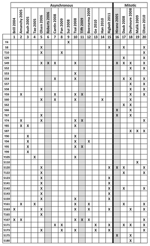 Figure 6. Published human emerin phosphorylation sites. X indicates emerin phosphorylation sites identified in asynchronous or mitotic cells. Grey columns indicate emerin-specific studies; other columns are high-throughput studies. (S), Ser. (T), Thr. (Y), Tyr. These results are compiled from references Citation157–Citation176.