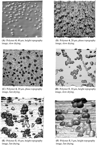 Figure 1. AFM images of polymeric particles 4 and 5.