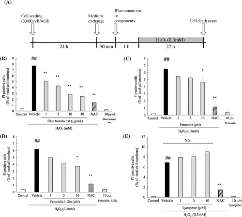 Fig. 5. Effects of blue tomato peel extract and its components on H2O2-induced cell death in 661W cells.