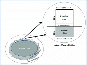 Figure 2 Field sampling design with 10 near-shore stations where data were collected to characterize near shore lake riparian and littoral physical habitat in the EMAP-Northeastern Lake Survey and the 2007 National Lakes Assessment. The 10 stations were systematically spaced around the shore of the lake from a random starting point. Insert shows riparian plot, shoreline band, and littoral plot located at each station.