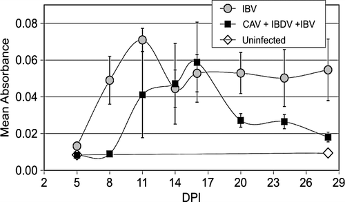 Figure 6.  IBV-specific IgA measured in lachrymal fluids by enzyme-linked immunosorbent assay. Mean absorbance versus day post IBV inoculation. Error bars indicate the standard error of the mean.