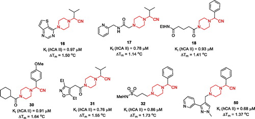 Figure 3. Most potent, N-(cyanomethyl)piperazine hCA II inhibitors discovered in the course of this study.