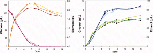 Supplementary Figure 1. Time course of glucose consumption (Display full size,Display full size,Display full size), and biomass (Display full size,Display full size,Display full size), glycerol (Display full size,Display full size,Display full size), and ethanol (Display full size,Display full size,Display full size) production during alcoholic fermentation of a synthetic medium with S. cerevisiae, in absence (bold) and in presence of metiram residues (2 and 110 mg/L), respectively. Figura adicional 1. Evolución del consumo de glucosa (Display full size,Display full size,Display full size) y de la producción de biomasa (Display full size,Display full size,Display full size), glicerol (Display full size,Display full size,Display full size) y etanol (Display full size,Display full size,Display full size) durante la fermentación alcohólica de un medio sintético con Saccharomyces cerevisiae, en ausencia (símbolos llenos) y en presencia de residuos de metiram (2 y 110 mg/L), respectivamente.