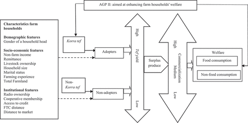 Figure 1. Conceptual framework on Korra tef adoption and farm households’ welfare.
