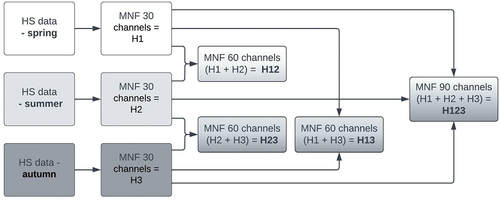 Figure 3. Diagram showing the process of preparing hyperspectral data from three single flights (spring, summer, autumn) to multitemporal data fusion.