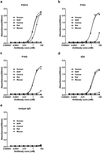 Figure 2. Species cross-reactivity of lead P3D12 cMet antibody. c-Met antibodies and isotype control IgG were serially diluted and tested for cross-reactivity to various c-Met species (human, NHP: non-human primate, canine, rat, mouse) by ELISA.