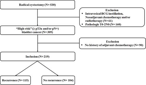 Figure 1 Flow chart.