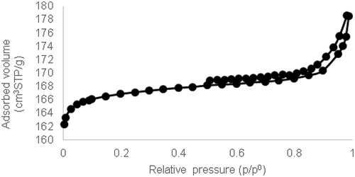 Figure 4. Type 1 isotherm of N2 on SAPO-34.