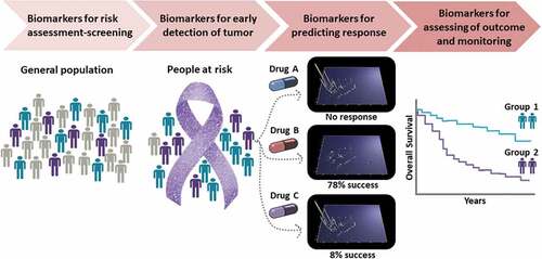 Figure 1. Main applications of biomarkers in oncology.