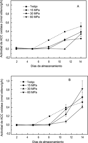 Figura 3. Actividad de ACC oxidasa en mangos ‘Ataulfo’ testigo y tratados con altas presiones hidrostáticas por (A) 10 min y (B) 20 min. Los valores representan la media de tres repeticiones en dos muestras distintas. Las barras indican el error estándar. Figure 3. Activity of ACC oxidase in mango fruit “Ataulfo” control and treated with high hydrostatic pressure for (A) 10 min and (B) 20 min. The values represent the mean of three replications in two different samples. The bars indícate the standard error.