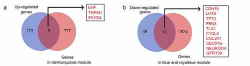 Figure 6. Intersection analysis for the genes in significant modules and differentially expressed genes. (a) Intersection analysis for the genes in significant modules positively associated with recurrence and upregulated genes in recurrent GBM tissues; (b) Intersection analysis for the genes in significant modules negatively associated with recurrence and downregulated genes in recurrent GBM tissues