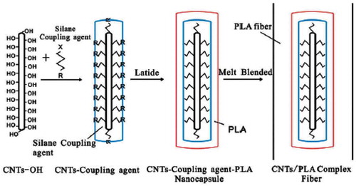Figure 11. Schematic representation for the formation of core-shell PLA nanocomposite fiber (adapted from reference [Citation145]).