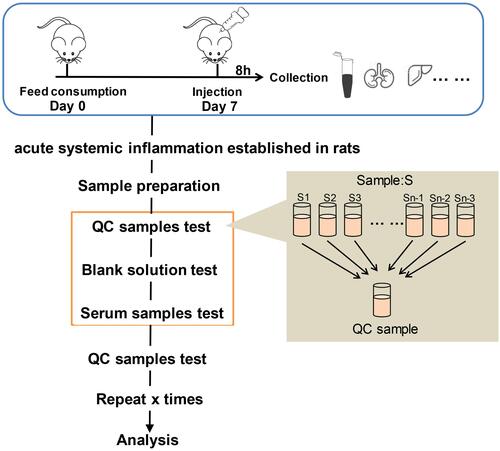 Figure 1 Metabolomics study workflow.