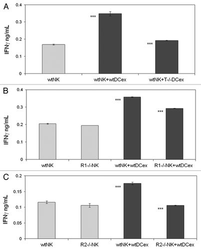 Figure 6. DCex mediate activation of NK cells via engagement of DCex TNF with NK cell TNF receptors. A. DCex of TNF-deficient mice (T−/− DCex) are unable to activate NK cells of wild type mice (wtNK). B. NK cells of TNFR1-deficient mice (R1−/− NK) have decreased responsiveness to DCex of wild type mice (wtDCex). C. NK cells of TNFR2-deficient mice (R2−/− NK) do not respond to wtDCex. wtNK cells alone, and their mixtures with 25 μg wtDCex or T−/− DCex (A); wtNK cells or R1−/− NK cells alone, and their mixtures with 25 μg of wtDCex (B); and wtNK cells or R2−/− NK cells alone, and their mixtures with 25 μg wtDCex (C) were incubated for 24 h. After incubation, cell-free supernatants were collected and tested for the presence and quantity of IFNγ using ELISA. Data are from a representative experiment of 2 experiments performed. They are means ± SD of IFN-γ ng/0.5 × 106 NK cells/mL. Asterisks indicate statistically significant differences in data from wtNK, R1−/− NK or R2−/− NK vs. wtNK+wtDCex, wtNK+wtDCex vs. wtNK+T−/−DCex; wtNK+wtDCex vs. R1−/−NK+wtDCex and R2−/−NK+wtDCex (***, p < 0.001).