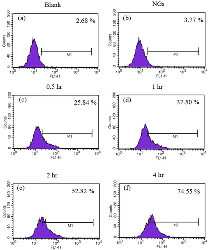 Figure 9 Cell uptake of NGs-FITC incubated with MIA PaCa-2 cells. (a) Blank, (b) NGs, (c) 0.5, (d) 1, (e) 2, and (f) 4 hours.