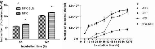 Figure 4.  Sustained-antibacterial activity: (a) 6 and 12 h; (b) from 6 h to 72 h (mean ± SD, n = 3) NFX-SLN: norfloxacin-nanoparticles; NFX: native norfloxacin; CNP: control nanoparticles; MHB: Muller-Hinton broth Statistical significances are p< 0.05 compared with: *NFX.