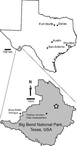 Figure 1. Location of Big Bend National Park in Texas, USA, shown by solid grey fill. White star within expanded outline of Big Bend National Park marks the approximate location of the BIBE 45854 excavation site within Tornillo Flat.