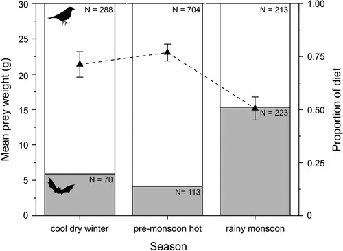 Figure 2. Seasonal changes in mean prey weight (g) and the proportion of birds (white bars) and bats (grey bars) in the diet of Red-necked Falcons Falco chicquera in Bangladesh between 2002 and 2019. Error bars = 95% confidence intervals, N = sample sizes.