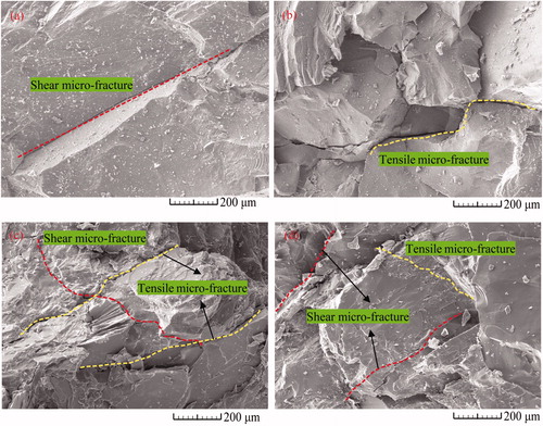 Figure 15. SEM photos of the fragments which taken from (a–b) fracture zone to (c–d) ejection zone.