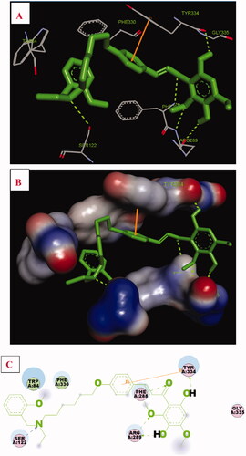 Figure 3. Compound 17f (green stick) interacted with AChE (PDB code: 1eve) (A) Interactions in the active site. (B) 3D docking model. (C) 2D docking model.
