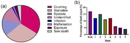Figure 1. Causes of death in piglets from birth to weaning. Adapted from Oliviero and Peltoniemi (Citation2020). Distribution of causes of death from birth to weaning in piglets (a); Distribution of piglet mortality from birth to day seven (b).