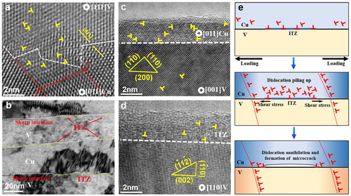 Figure 5. Effects of sharp interfaces and ITZs on deformation. (a) Interface reconstruction at the sharp interface near the crack. (b) Dislocation piling up near the ITZs. (c) HRTEM images of fractured Cu and V layers bonded by sharp interfaces. (d) Fracture propagated along the ITZ. (e) Schematic of the formation mechanism of microcracks.