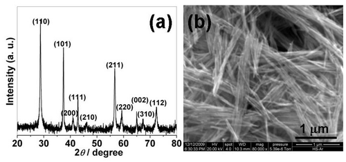 Figure 1. (a) XRD patterns of the MnO2 nanowires and (b) SEM image of the MnO2 nanowires.