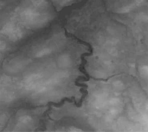 Figure 7. A sample digital elevation model (DEM) (30 m resolution) covering the study area of Fribourg, Switzerland. This map was a free download from ASTER GDEM which was projected to the Swiss projected coordinate system (CH1903 LV03).