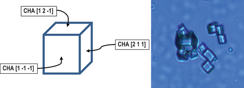 Figure 2. Crystallographic axes of SAPO-34 (CHA)[Citation54] and microscopy presenting the shape of chabazite SAPO-34.