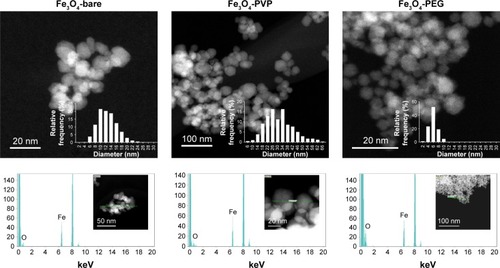 Figure 1 Characterization of IONP by TEM.Notes: Micrographs of three different IONP and their size distribution (upper panel). Elemental mapping by energy-dispersive X-ray spectroscopy (lower panel). Abbreviations: IONP, iron oxide nanoparticles; PEG, polyethyleneglycol; PVP, polyvinylpyrrolidone; TEM, transmission electron microscope.