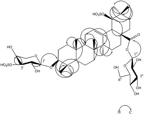 Figure 3. The key HMBC correlation (H–C) of compound 1.