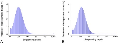 Figure 3. The sequencing depth distribution of (A) autoimmune hemolytic anemia (AIHA) patient and (B) healthy control. The horizontal axis represents the sequencing depth and the vertical axis is the percentage of the whole genome bases corresponding to the sequencing depth. The sequencing depth corresponding to the highest point of the curve is close to or consistent with the average coverage depth of the entire genome, and the distribution map shows that the sequencing data results are roughly evenly distributed.