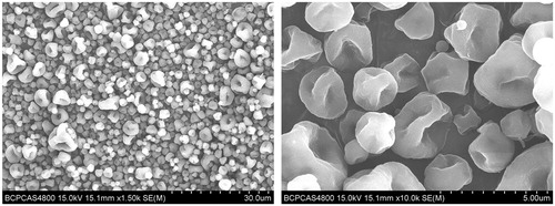 Figure 3. Scanning electron micrographs of the optimized powders.