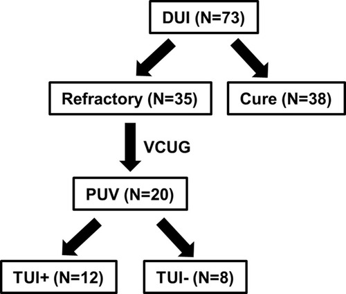 Figure 1 A total of 73 boys with DUI were diagnosed and VCUG and urodynamic studies were performed in 35 boys who were refractory to conservative treatment. Among the 35 boys, 20 had suspected urethral obstruction in the posterior urethra by VCUG. Of the 20 boys, 12 (TUI+ group) underwent urethrocystoscopy and TUI under general anesthesia and 8 (TUI- group) continued receiving oral drugs without urethrocystoscopy.