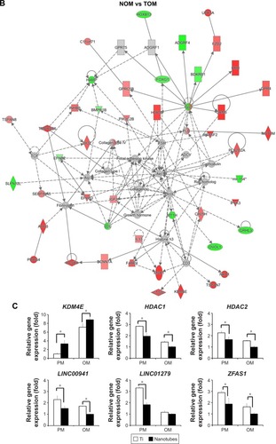 Figure 5 Ingenuity pathway analysis (IPA) network analyses and epigenetic regulation of histone modification, microRNAs, and long non-coding RNAs.Notes: (A) IPA network of NPM vs TPM. (B) IPA network of NOM vs TOM. (C) Expression levels of representative histone-modifying enzymes and long non-coding RNAs quantified by qRT-PCR. (D) MicroRNA regulatory network of NPM vs TPM. (E) MicroRNA regulatory network of NOM vs TOM. (F) Expression of differentially expressed microRNAs quantified by qRT-PCR. *P<0.05.Abbreviations: HDAC, histone deacetylase; KDM4E, lysine demethylase 4E; NOM, TiO2 nanotubes with osteoinduction medium; NPM, TiO2 nanotubes with proliferation medium; TOM, titanium with osteoinduction medium; TPM, titanium with proliferation medium.