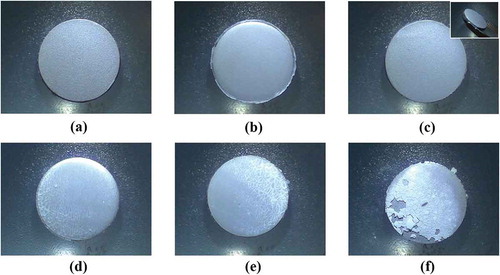 Figure 2. PHEMA/PCL-nCHA composite coatings onto Ti-6Al-4V discs (a) 0 wt.% nCHA (b) 5 wt.% nCHA (c) 10 wt.% nCHA; the inset depicting the same composition coating in a tilt view (d) 12 wt.% nCHA (e) 15 wt.% nCHA (f) 20 wt.% nCHA.